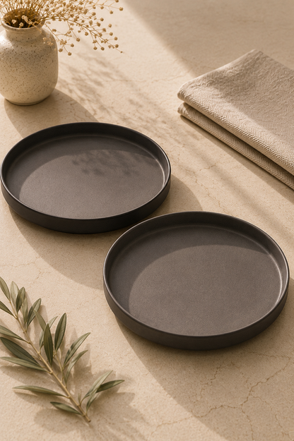 Aesthetic Matte Charcoal Black Dinner Plate (Size 10"x10")- Set of Two
