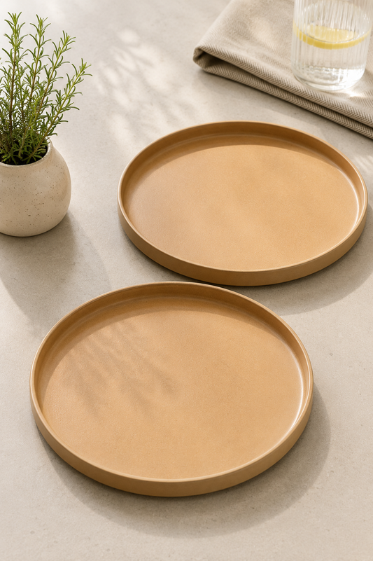 Earthy Minimalistic Dinner Plate (set of 2)